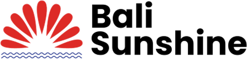 BSM Tours logo